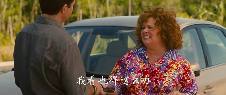 Поймай толстуху если сможешь identity thief 2013